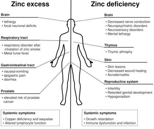 zinc deficiency skin
