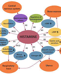 A marker of methylation; treat elevated histamine and depression naturally.