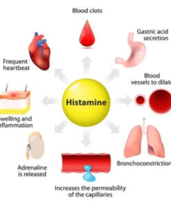 whole blood histamine test online test depression methylation histamine