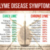 Diagnosis Lyme Disease Testing