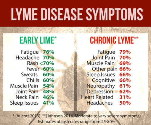 Diagnosis Lyme Disease Testing