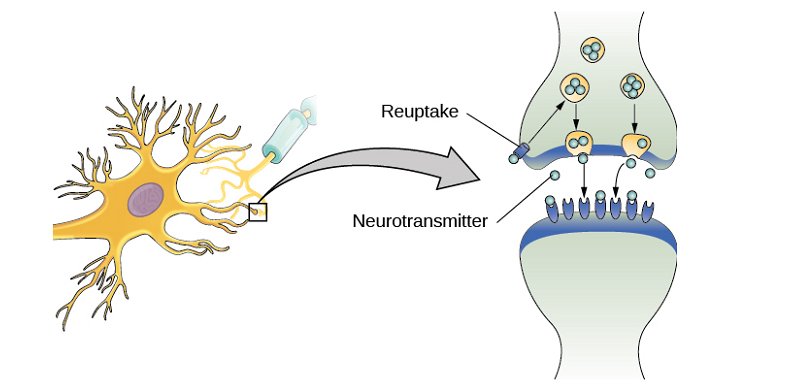 changing depression medications choosing the best antidepressant selecting the proper antidepressant