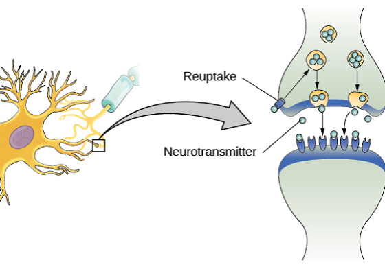 changing depression medications choosing the best antidepressant selecting the proper antidepressant